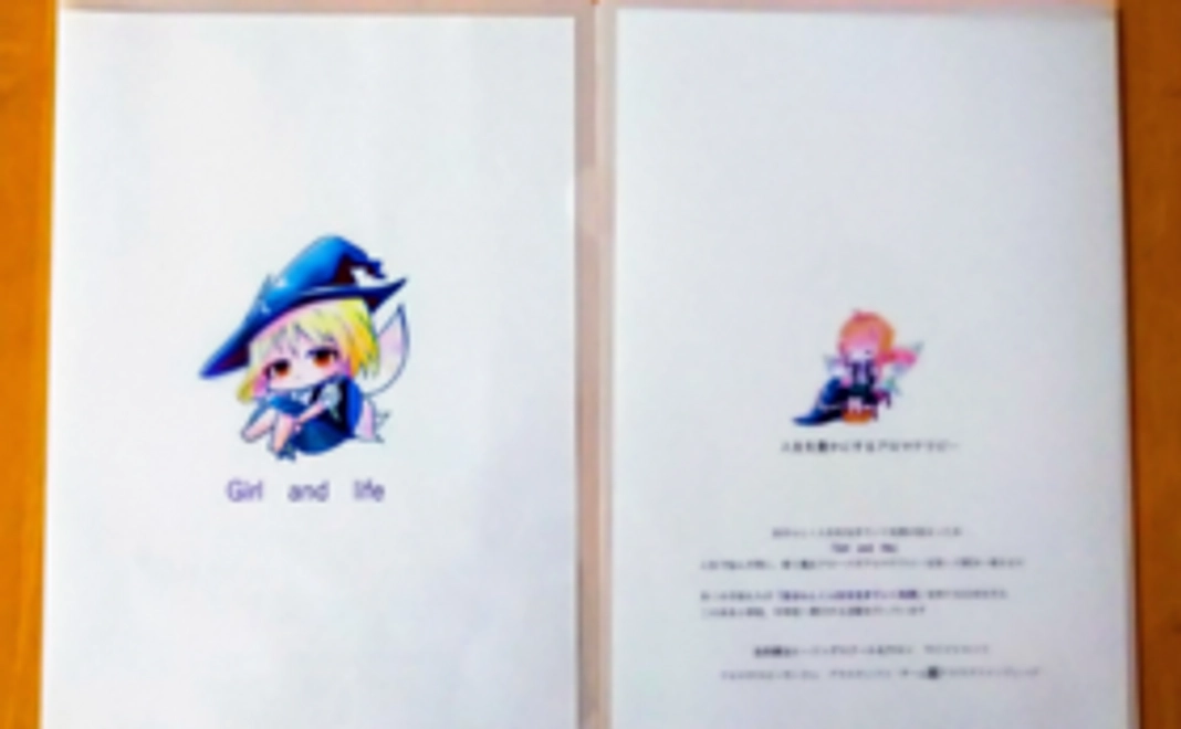 プロジェクトサポーターB