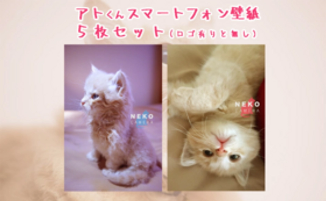 【アトくん応援コース-1000】