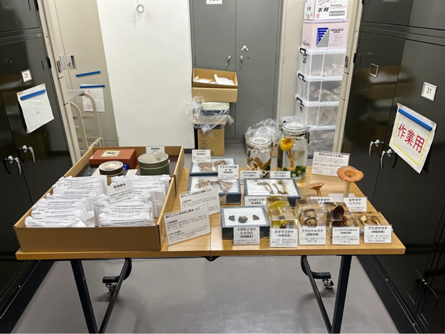 【返礼イベント実施レポート】バックヤードツアー｜植物・菌類コース編