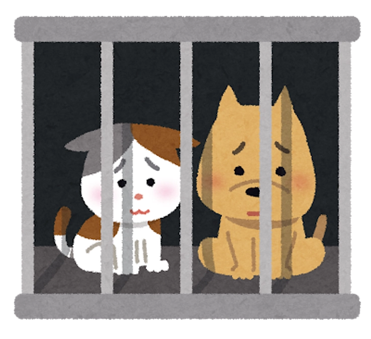 別の切り込み方をしてる人みつけた