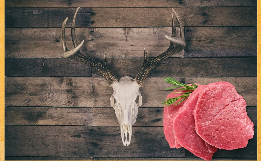 捕獲お知らせ・ジビエ鹿肉優先購入権（部位指定）＋鹿のオブジェ＋チルド鹿肉3kgコース