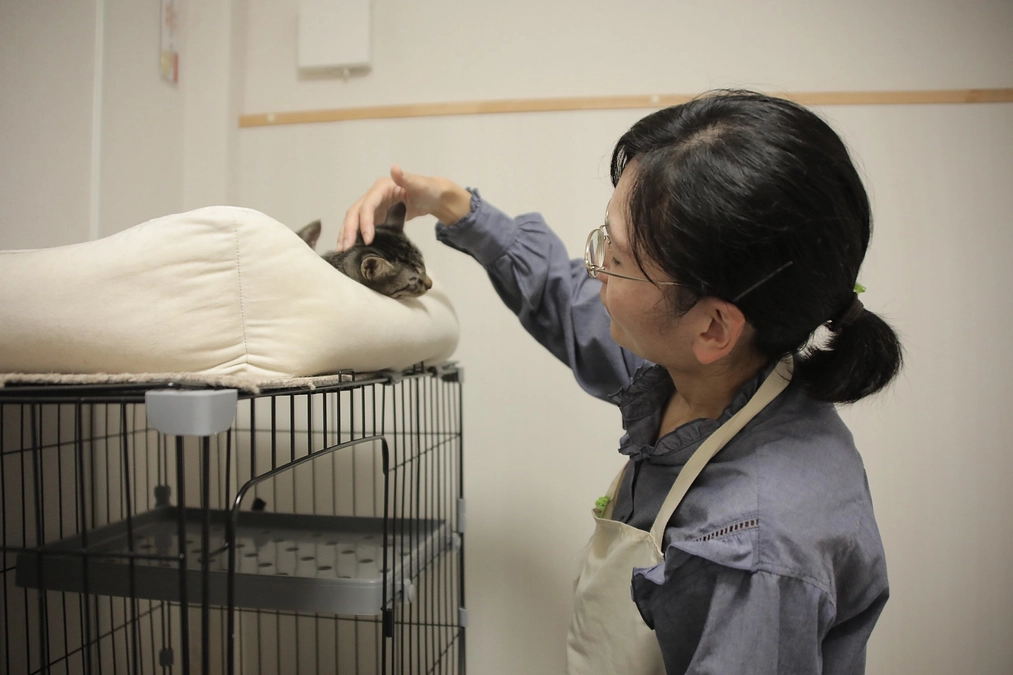 ～応援してくださる皆様へスタッフからメッセージ～