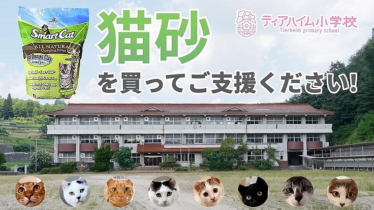 猫砂を買って保護ねこ施設をご支援ください！