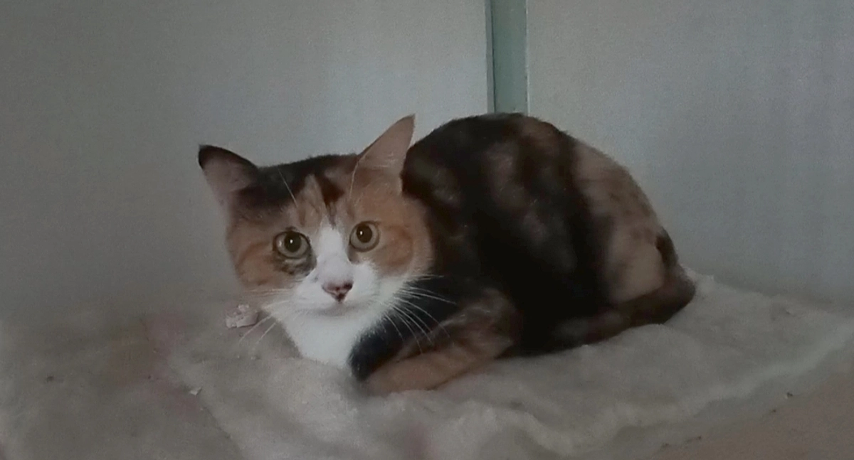 皆様ありがとうございます！！