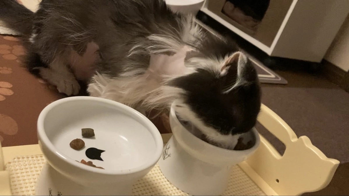 10/21のテオくんの様子