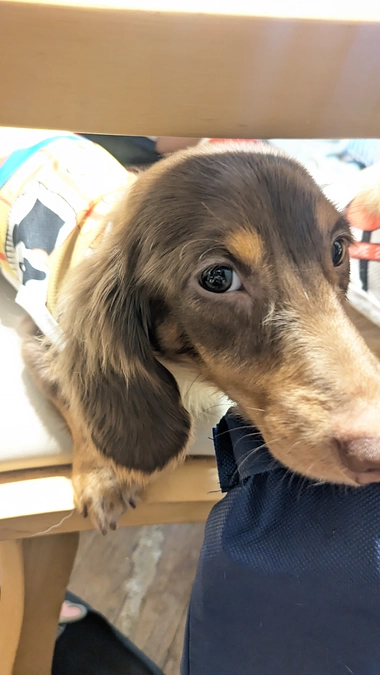 ご支援感謝します(´ﾉ ω；`)