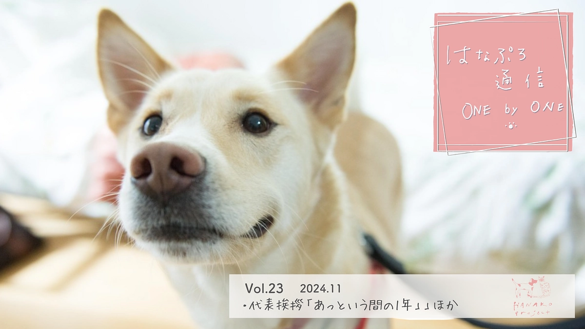 「はなぷろ通信 one by one」Vol.23