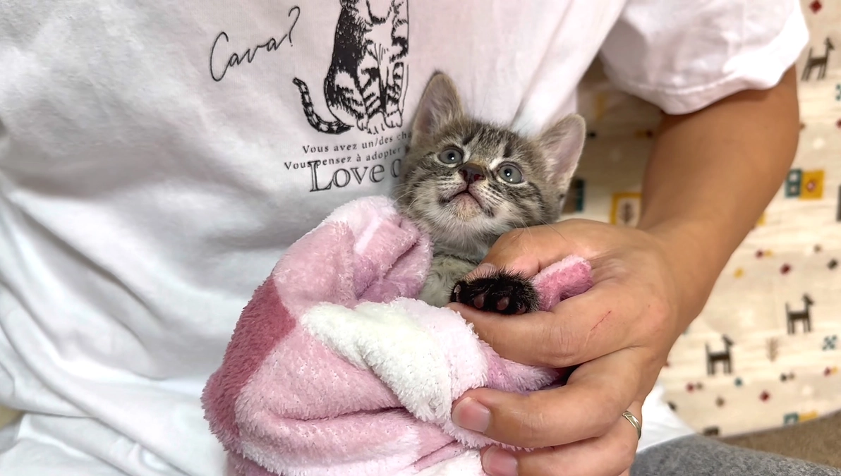 2月1日、2日で…