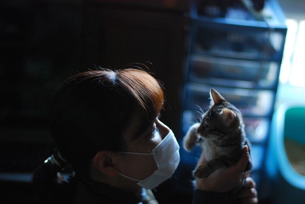 フォトエッセイスト どうぶつ福祉ネットワーク代表 児玉 小枝様より応援コメントをいただきました。