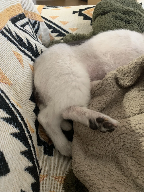 咳がひどい夜・・・