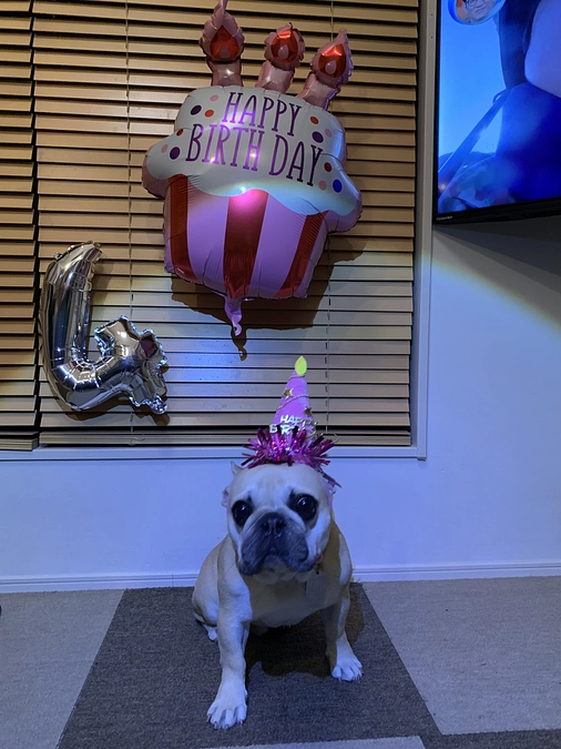 ちくわ🐶のその後の経過報告❤️③