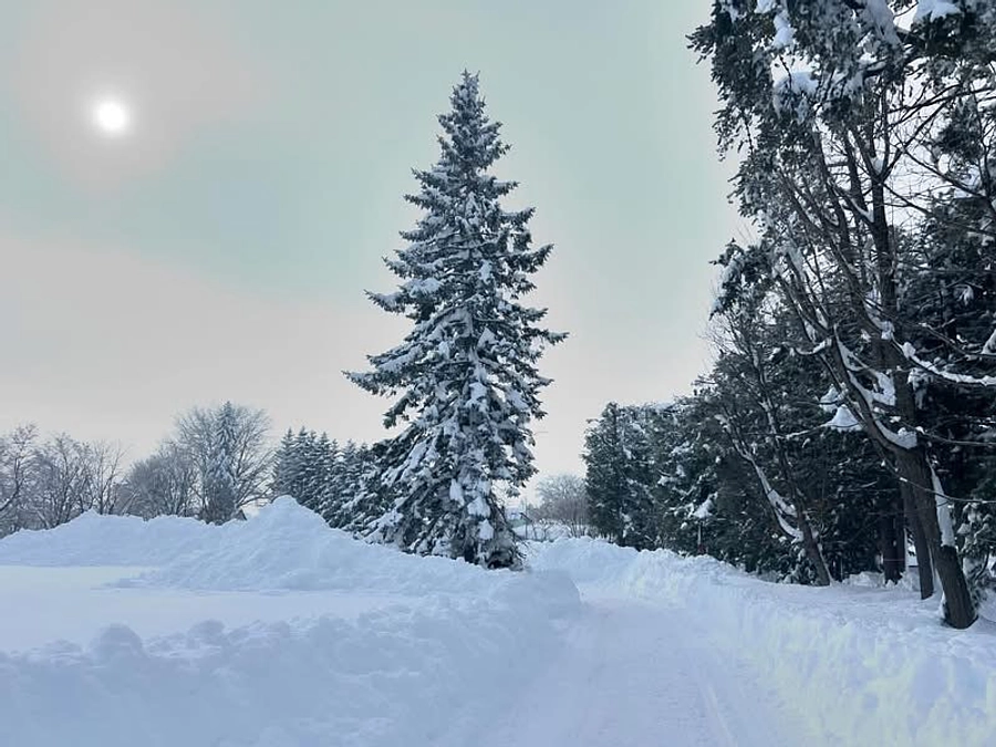 「THE WORLD」農地にて 葡萄の植樹ボランティア募集