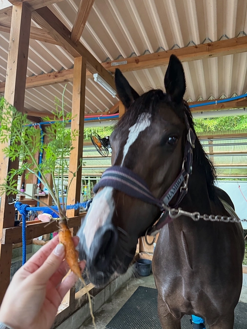 リトレースサポーター活動報告vol.2