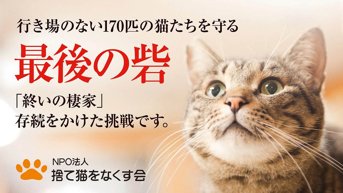 ネクストゴールのお礼とラストスパート！太陽光パネル設置をめざして！