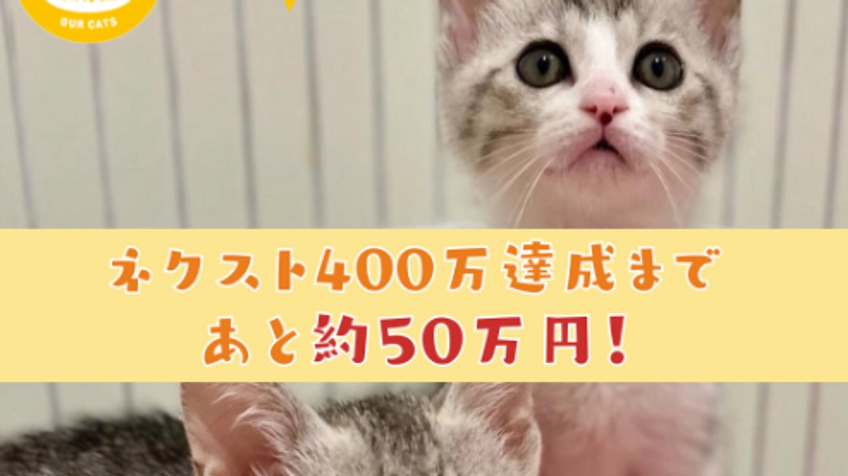 第6弾プロジェクト【残り7時間！ 】ここまでどうもありがとうございます！！