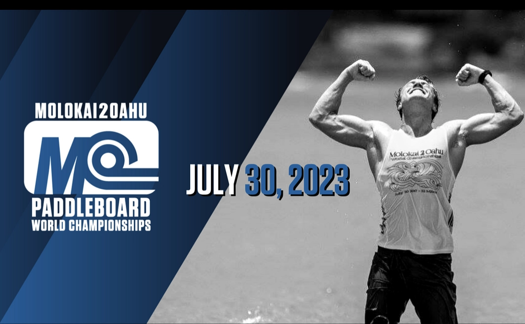 シンプル応援プラン