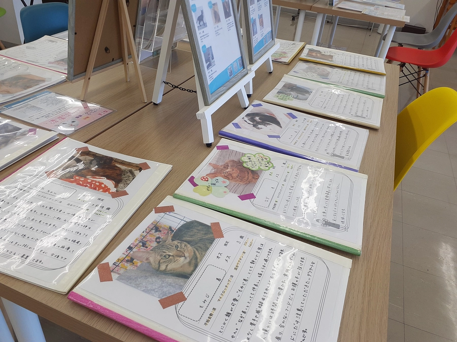 22日(金)写真でお見合い会の開催中のご報告