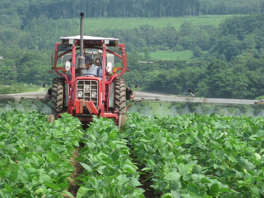 SEIZE THE DAY「THE WORLD」Report-4