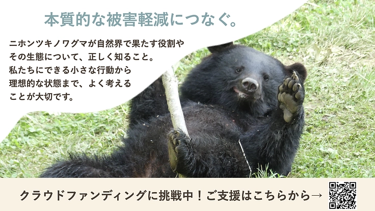 盛岡市動物公園｜ツキノワグマと人がよりよく共生できる社会を目指して