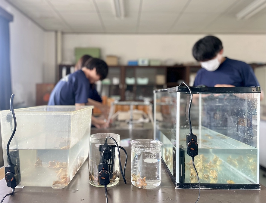 【探究学習】高校生が挑む！猪苗代湖の水質改善と水草『菱』の育成調査 ~福島県・猪苗代町~