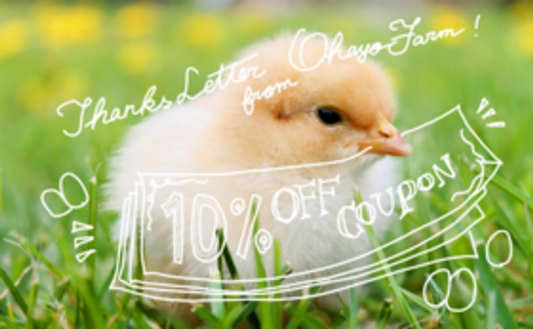 おはよう農園の「たまごで応援！」コース①