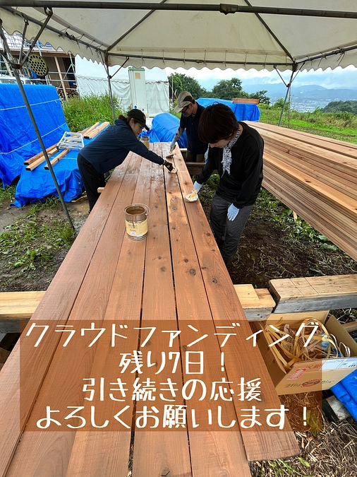 終了まで残り7日となりました！