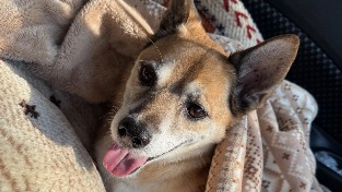 12/10 ☢️放射線治療7回目☢️