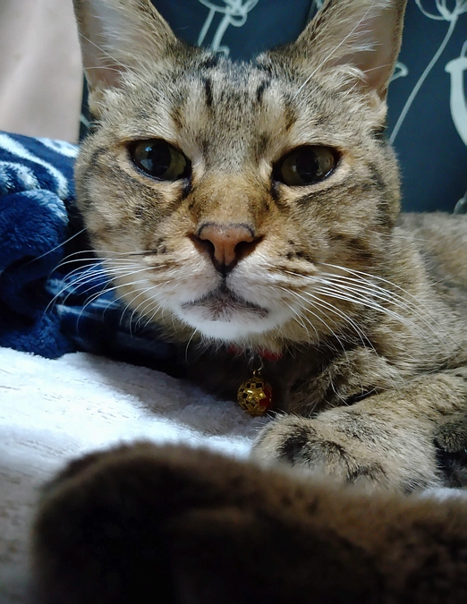 FIPについて・感謝の気持ち