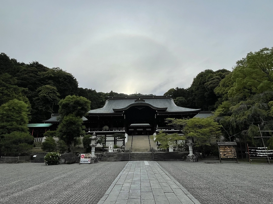 ありがとうございます