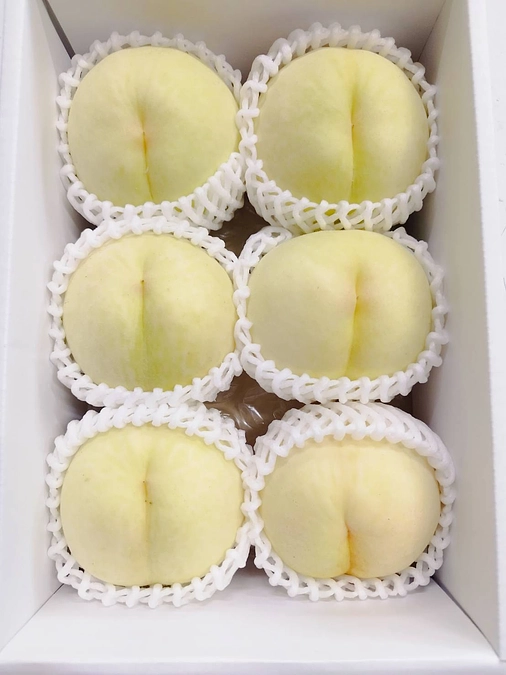 プロジェクト終了まで残り3日となりました！