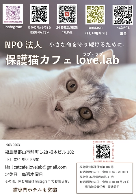 ２０２５年５月　活動報告