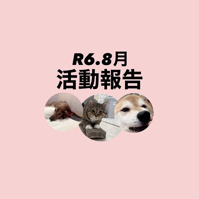 R６.８月活動報告
