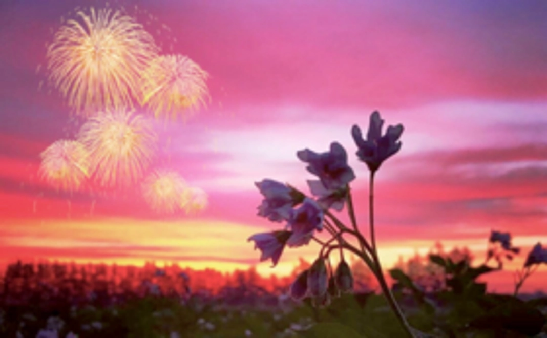 芽室花火大会をサポートしよう！当日使えるドリンク券付き！