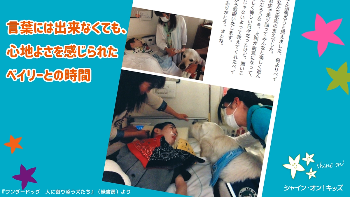 言葉には出来なくても、心地よさを感じられたベイリーとの時間