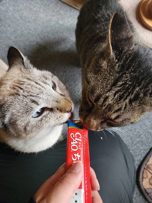 2025.2月　活動報告*