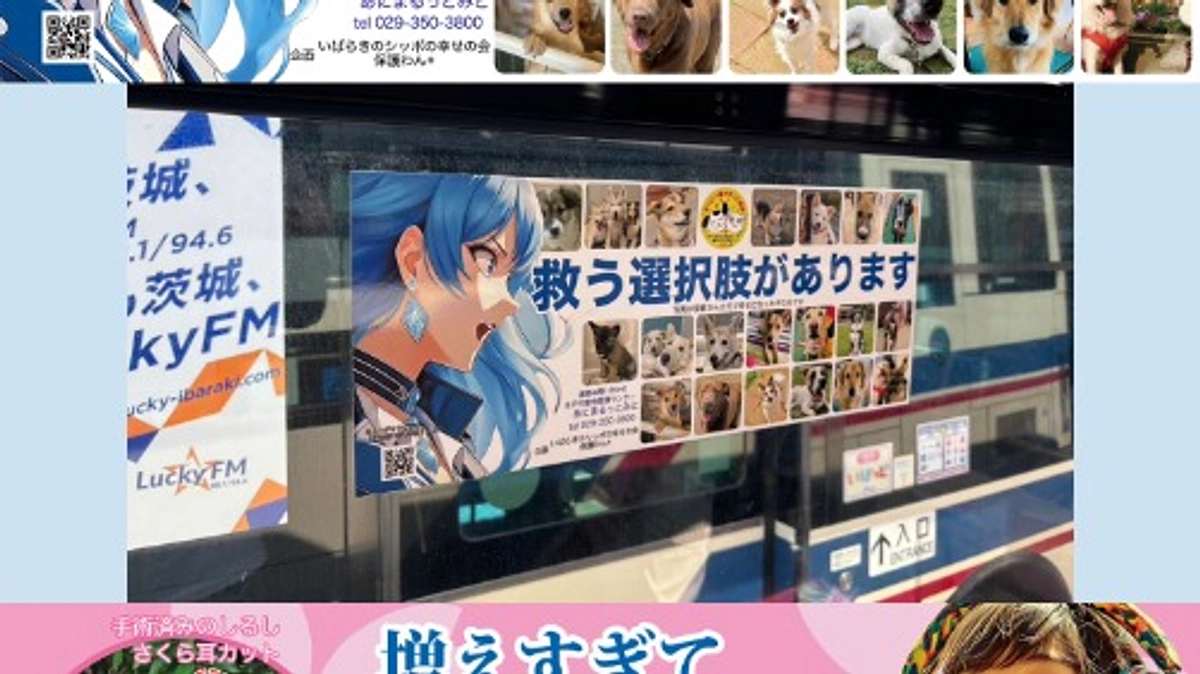 バス広告がリニューアルとなりました！！