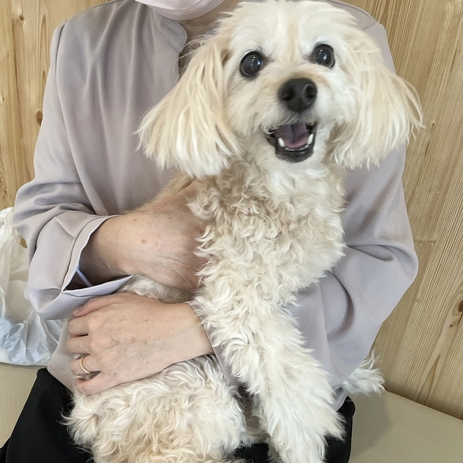 手術乗り越えてくれました！