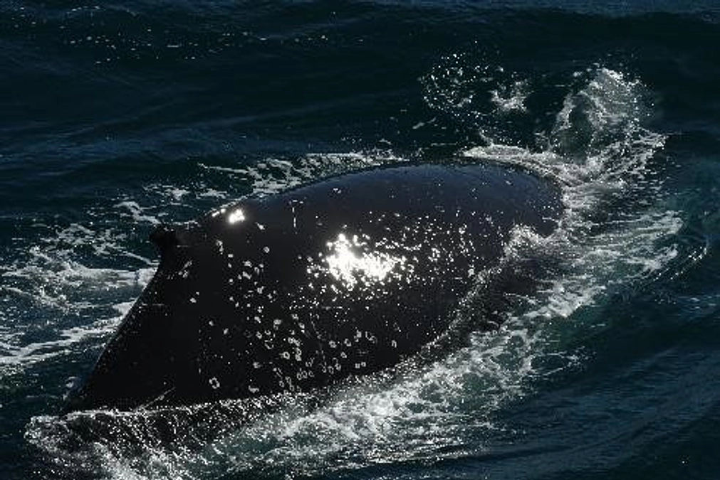 2024年1月28日「War is over, if you want it」