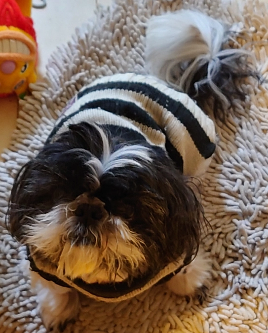 術後26日目、そろそろ一か月検診となります。