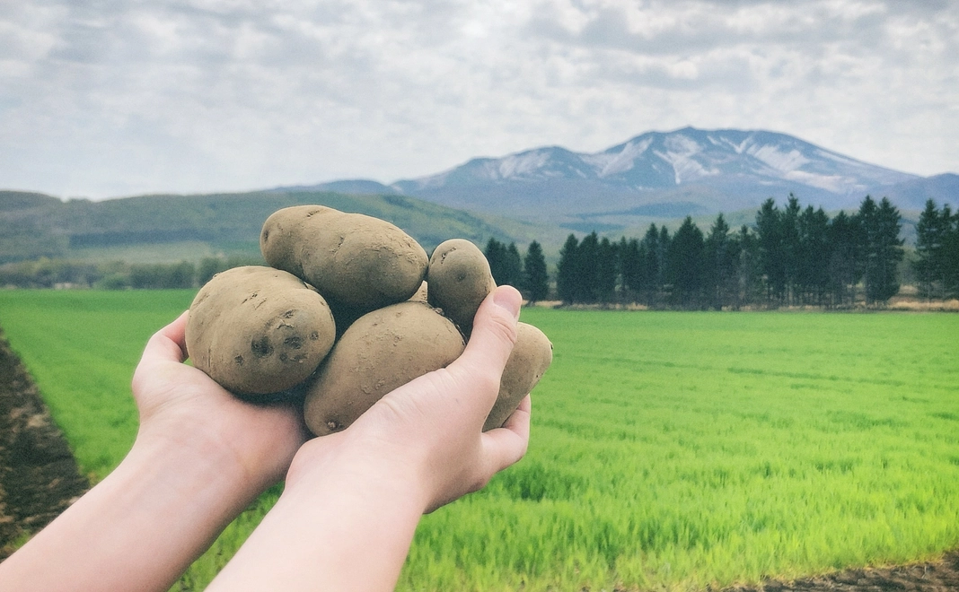 レシピ付き！「平賀さんのじゃがいも（5kg）」