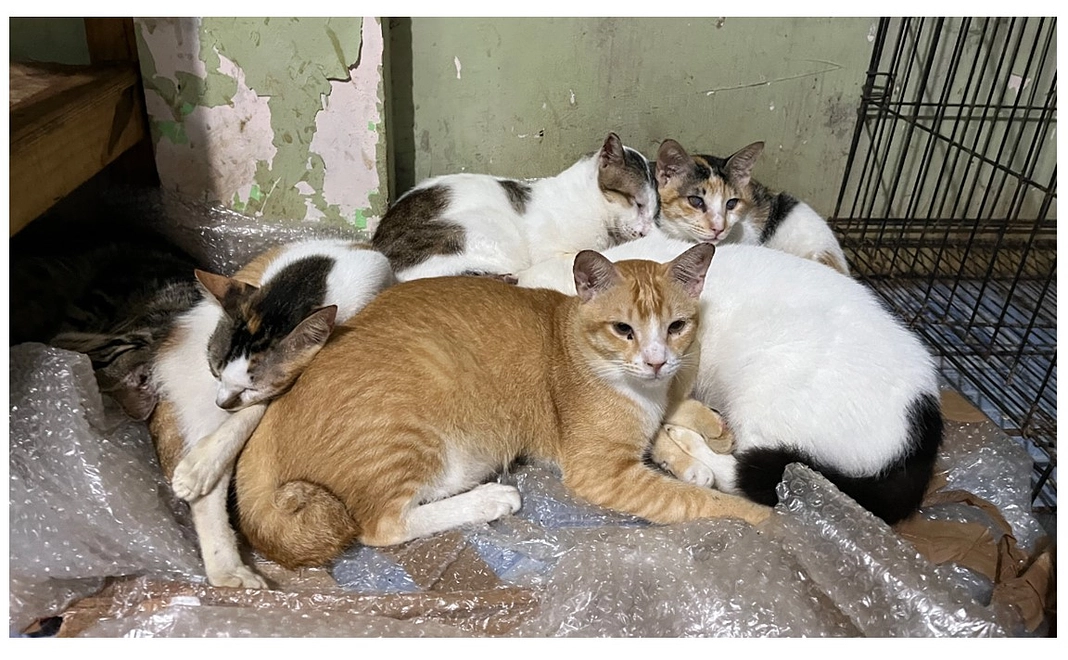 毎月ご支援10000円コース