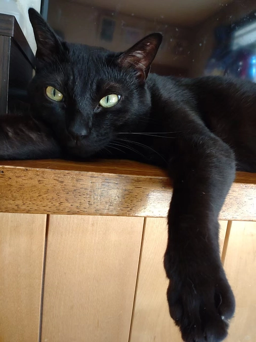 8歳になりました🎂