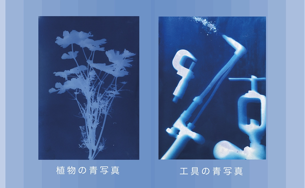 【青写真 作品】プラン