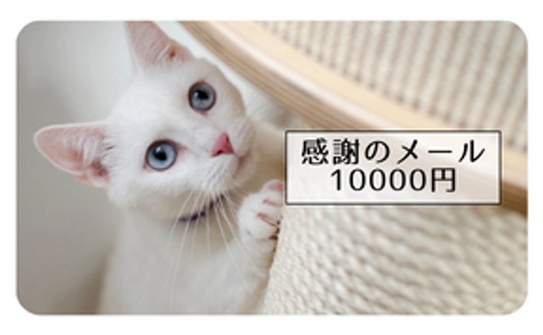 【感謝のメール】10000円