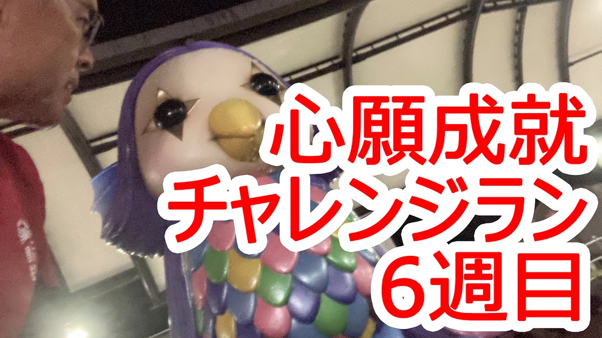 心願成就チャレンジ！356キロランと10キロダイエット(*^-^*)　6週目ご報告