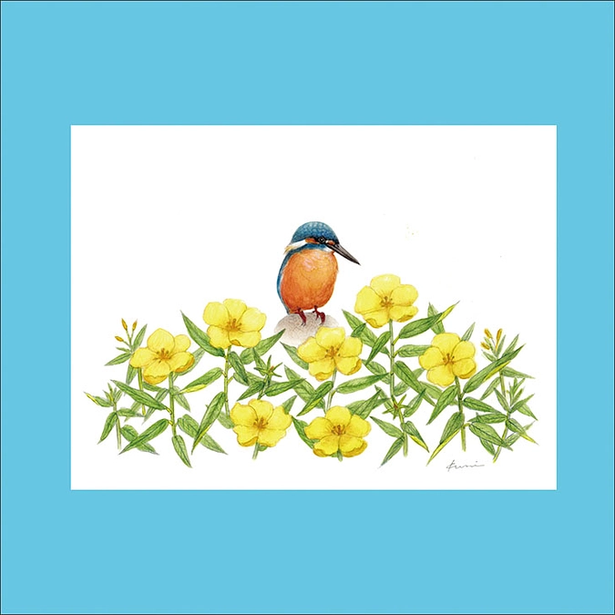 滋賀の鳥さん展