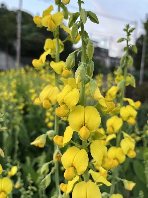 【2023年10月の活動報告】