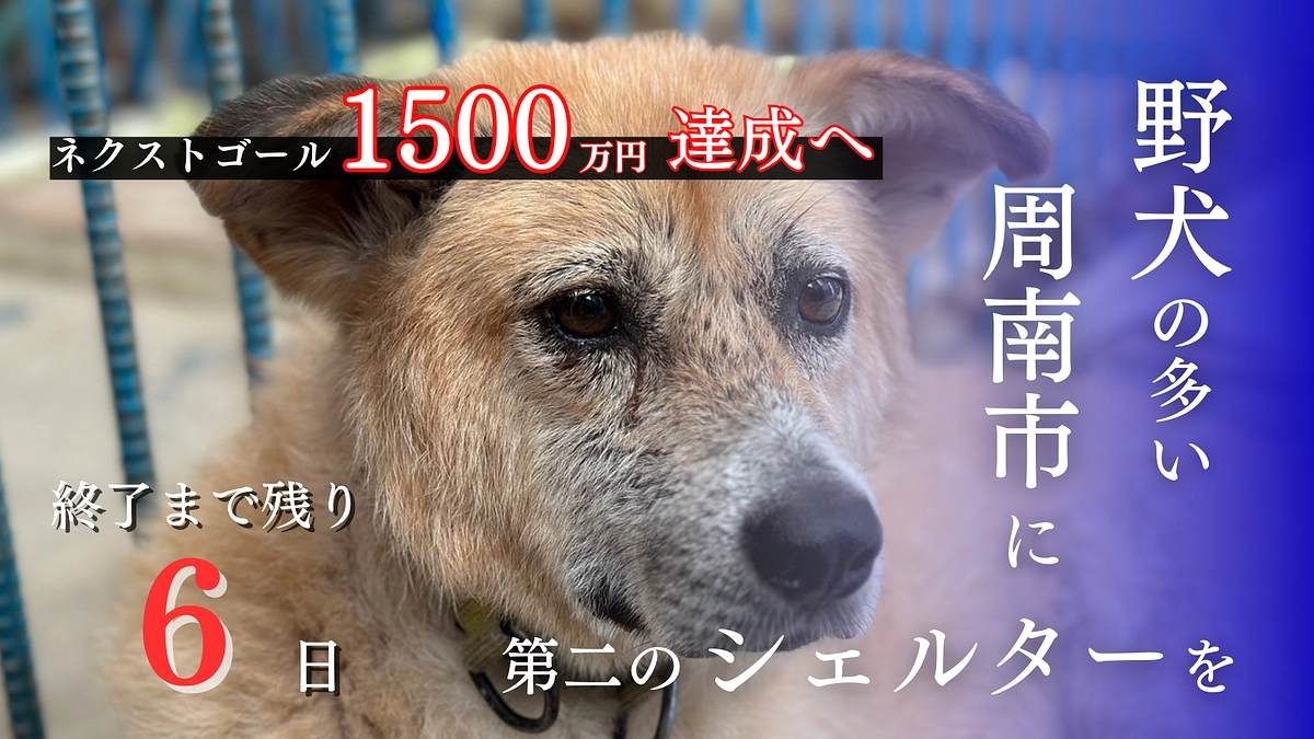残り6日！ネクストゴール達成にむけて！情報拡散をお願いします