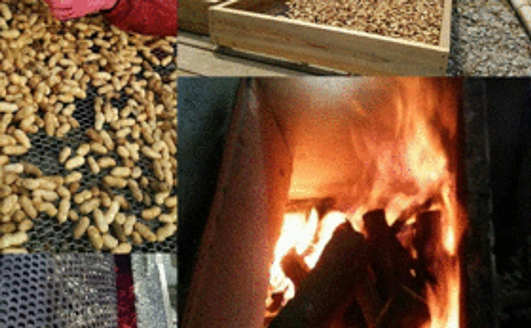 自然栽培で育てた千葉半立落花生の新豆第一号250gとピーナッツバターサンプル小瓶入り６種類