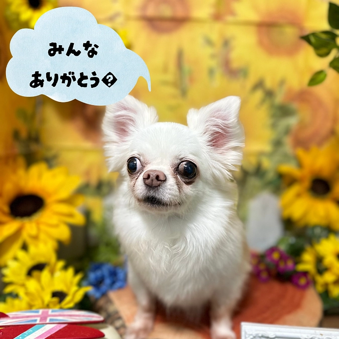 開始から一週間が経ちました